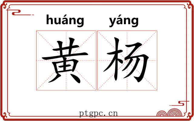 黄杨