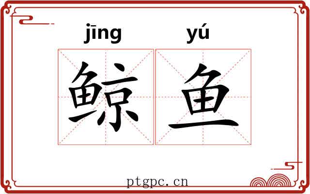 鲸鱼 鲸鱼