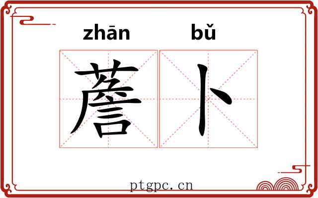 薝卜
