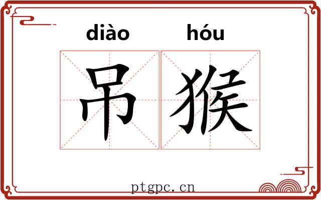 吊猴