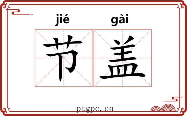 节盖 节盖