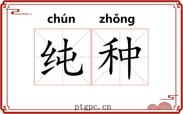 纯种