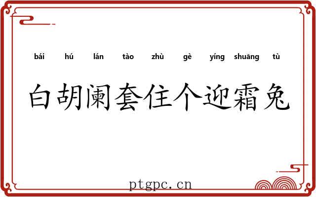 白胡阑套住个迎霜兔