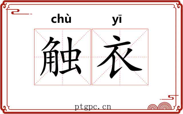 触衣