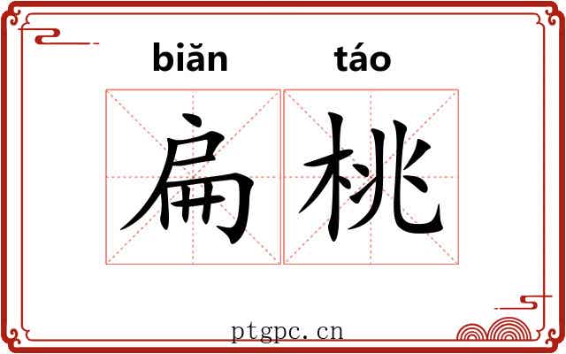 扁桃