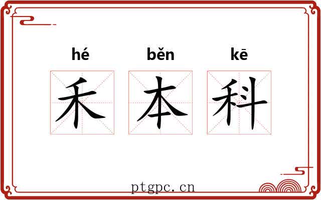 禾本科 禾本科