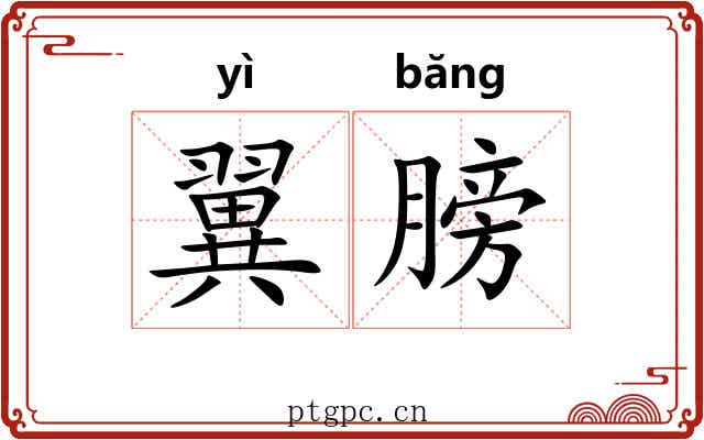 翼膀