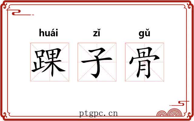踝子骨 踝子骨