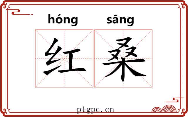 红桑 红桑