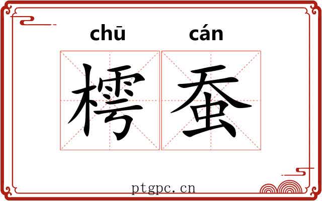 樗蚕