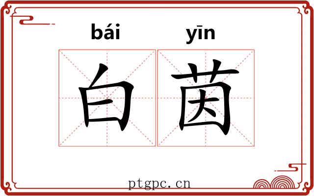 白茵 白茵
