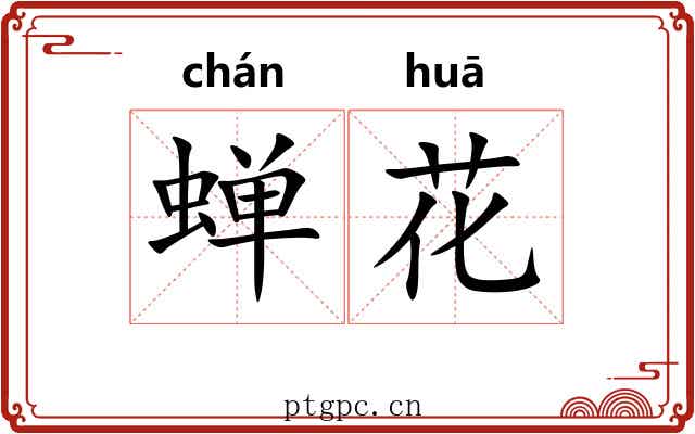 蝉花 蝉花