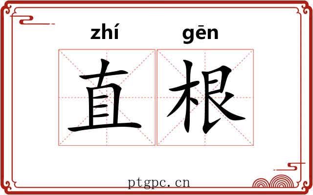 直根 直根