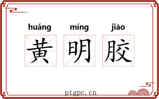黄明胶 黄明胶