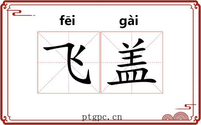 飞盖 飞盖