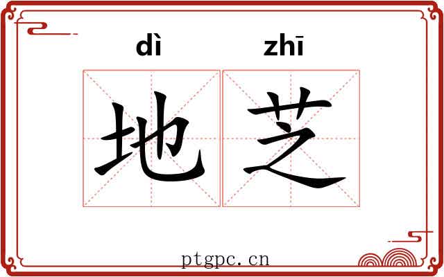 地芝 地芝
