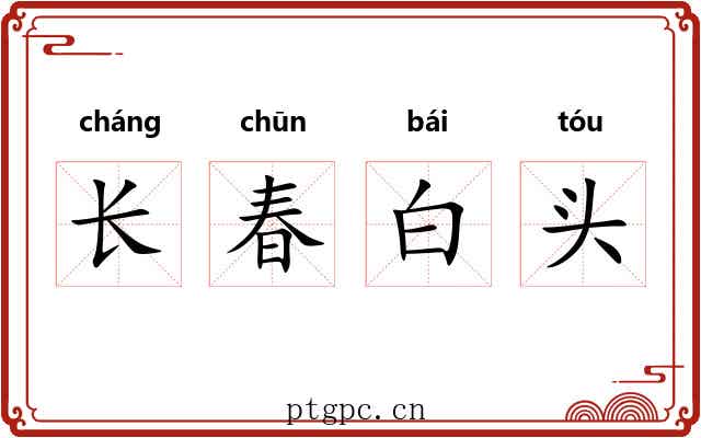 长春白头 长春白头