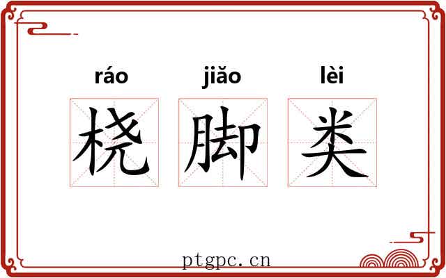 桡脚类 桡脚类