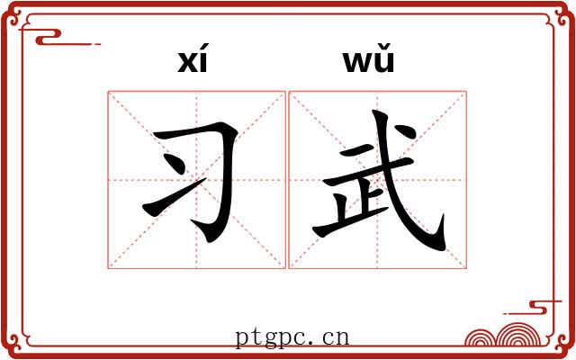 习武