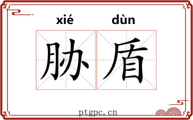 胁盾