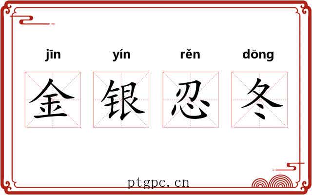 金银忍冬 金银忍冬