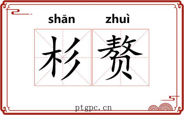 杉赘
