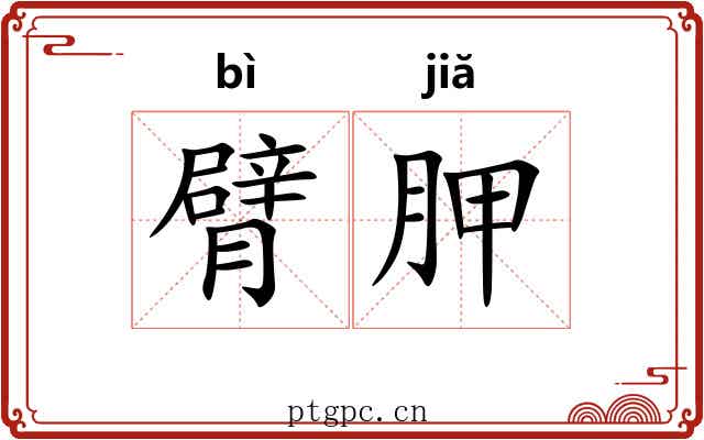 臂胛