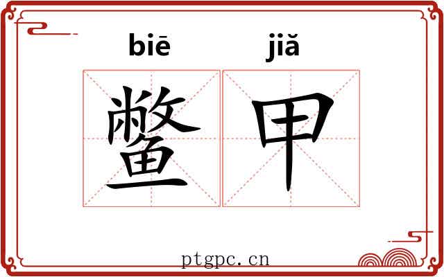 鳖甲 鳖甲