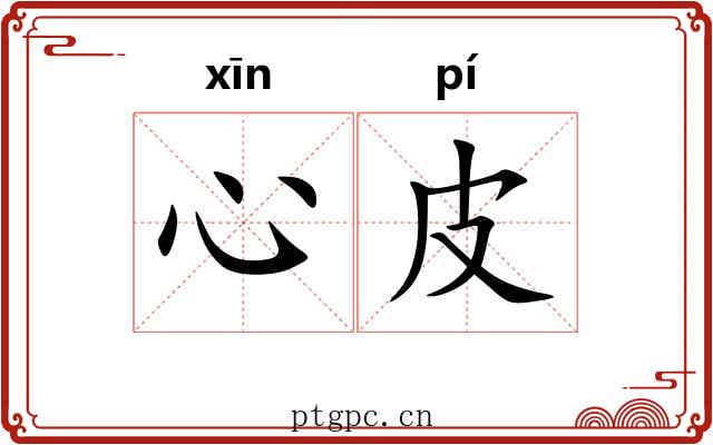 心皮