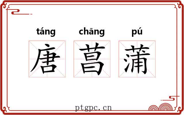 唐菖蒲 唐菖蒲