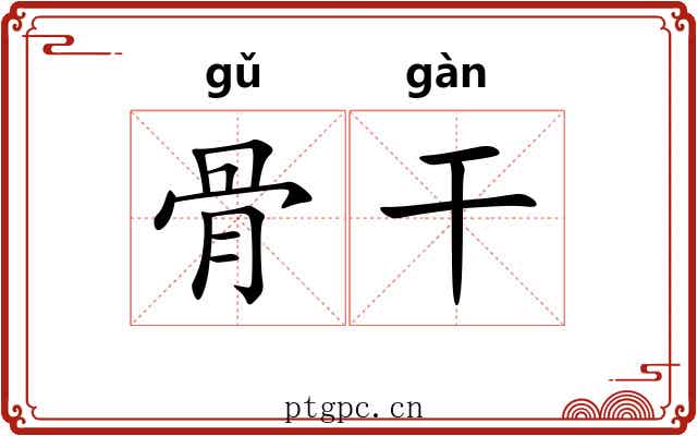 骨干 骨干