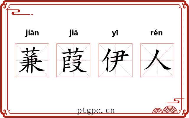 蒹葭伊人