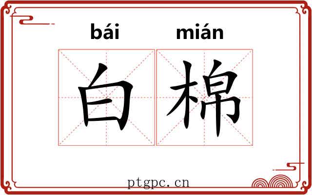白棉 白棉