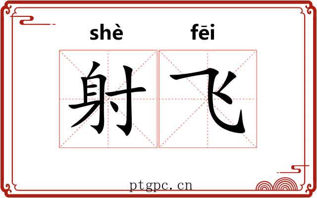 射飞 射飞