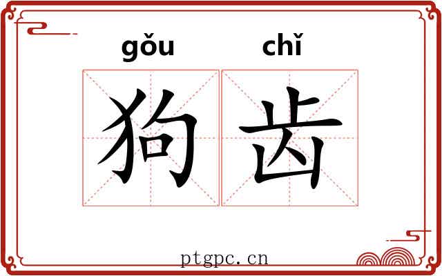 狗齿