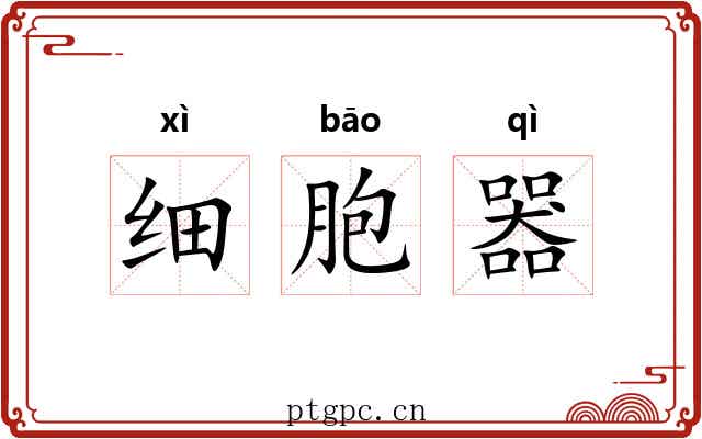 细胞器 细胞器