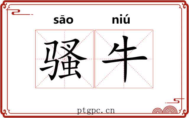 骚牛 骚牛