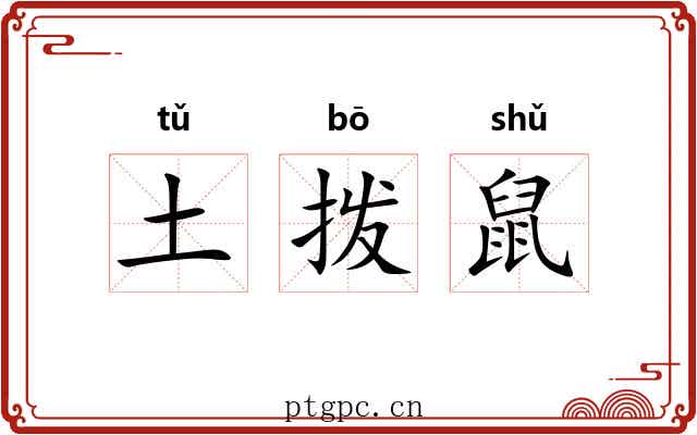 土拨鼠 土拨鼠