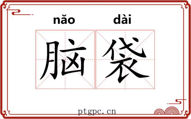 脑袋 脑袋