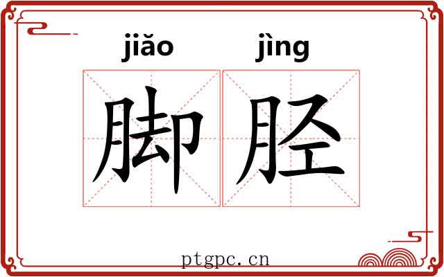 脚胫