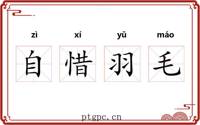 自惜羽毛 自惜羽毛