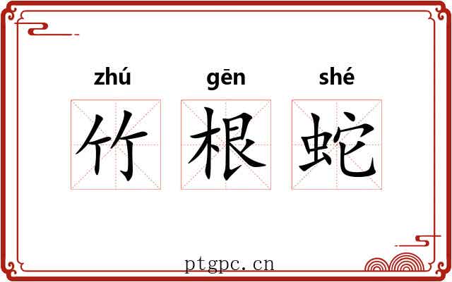 竹根蛇 竹根蛇