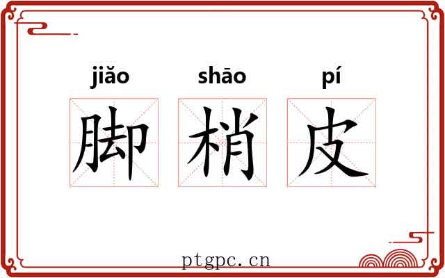 脚梢皮 脚梢皮