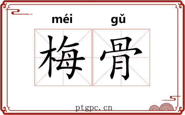 梅骨 梅骨