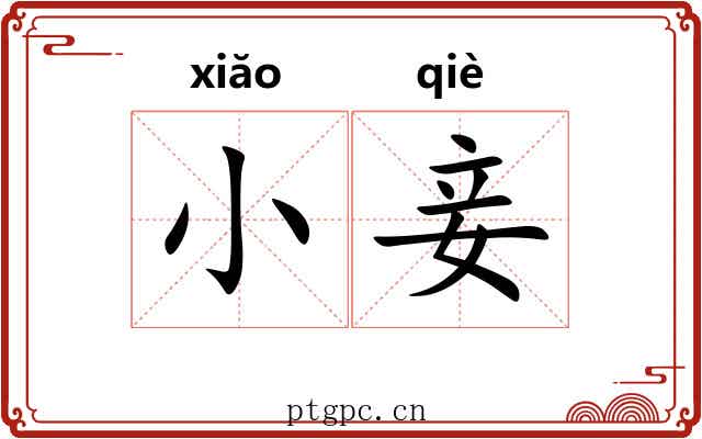 小妾 小妾