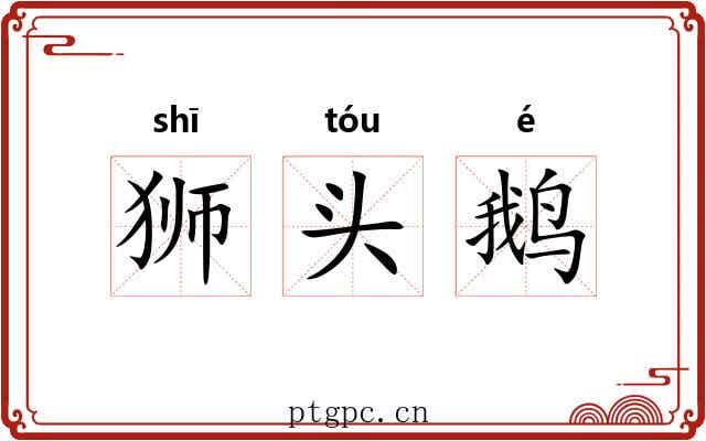 狮头鹅