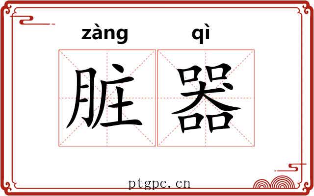 脏器