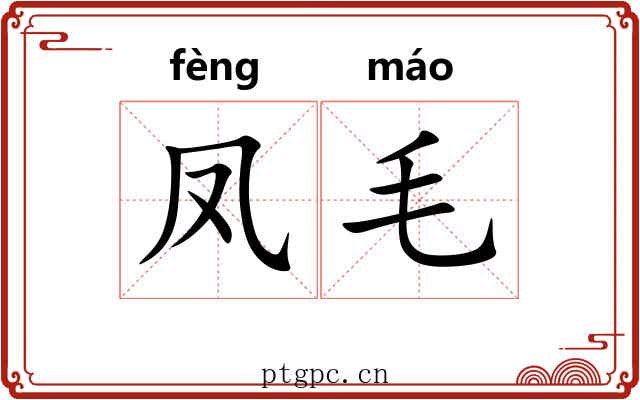 凤毛 凤毛