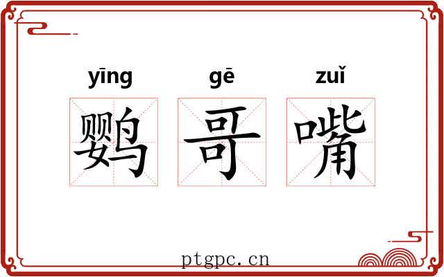 鹦哥嘴