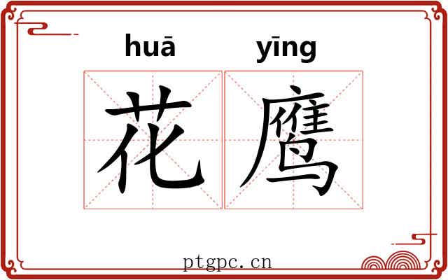 花鹰 花鹰